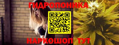 2c-b Балахна