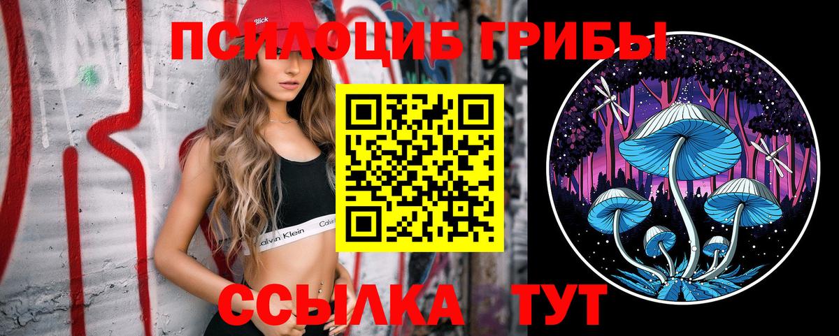 Гусиноозёрск  Псилоцибиновые грибы ЛСД  Галлюциногенные грибы Psilocybe  Вход с VPN 